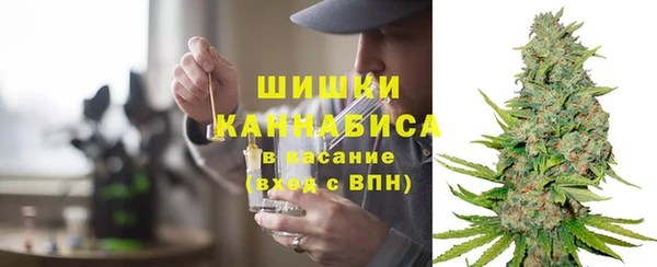 Альфа ПВП Аркадак