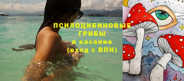 соль ск Алексеевка